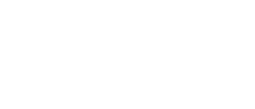 The Email Duke Logo white